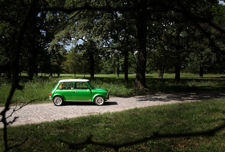 Green mini