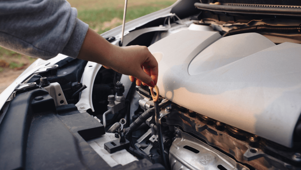 Checking oil of a used car before test drive