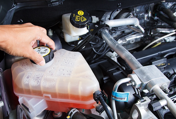 Engine coolant tank under bonnet