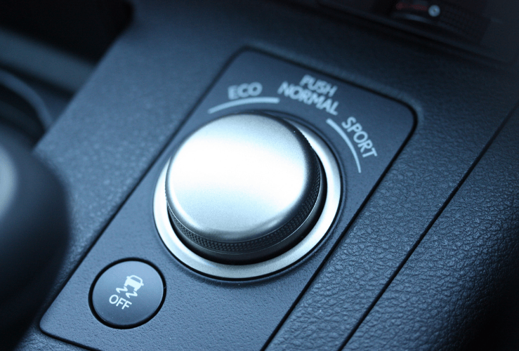 Traction Control Button